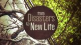 From Disasters to New Life
